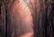 开云体育：中甲第2轮积分：广东广州豹、陕西联合爆发，冲超形势扑朔迷离.